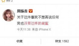 盐田新闻爆料网最新消息,最新动态速览，热点事件一网打尽！