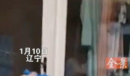 社会百态网友爆料视频,社会百态视频揭示现实众生相